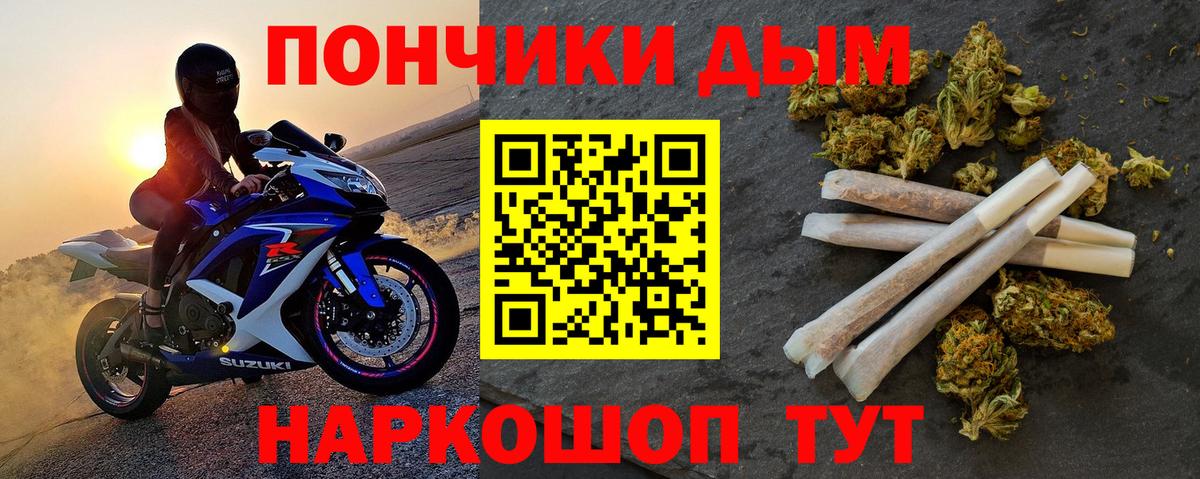 Конопля сатива Королёв